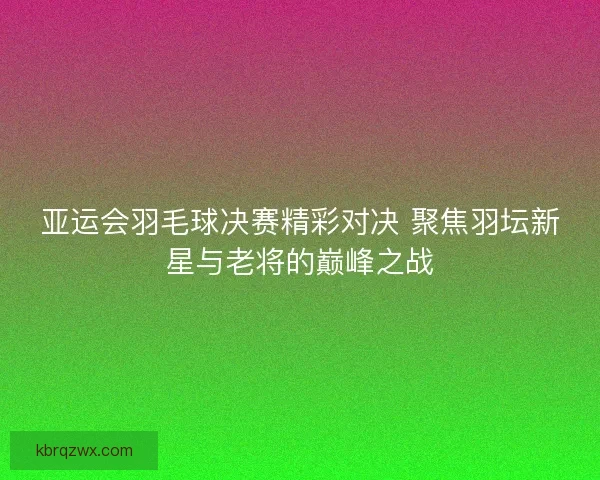 亚运会羽毛球决赛精彩对决 聚焦羽坛新星与老将的巅峰之战